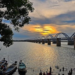 krishnapriya81