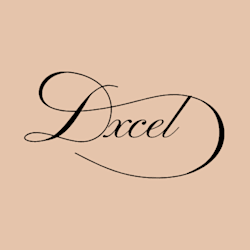 excel_v90