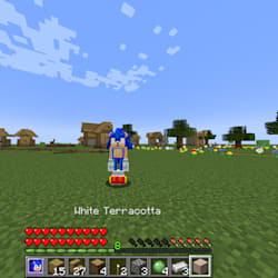 ankit_minecraft