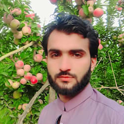 abdulwaheed663