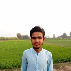 shaheen4writes