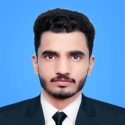 tseo_audit