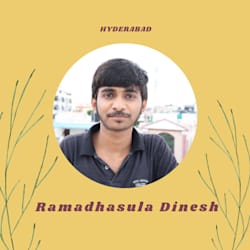 dineshkumar084