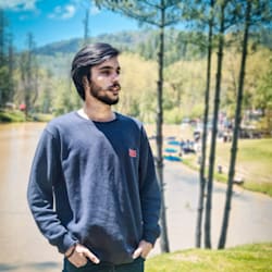 tehzeebshah3