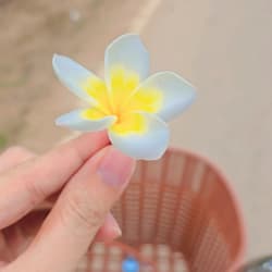 iamphueng