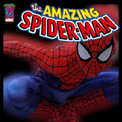spiderfer91