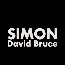 davidbrucesimo