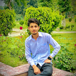 usman1531981