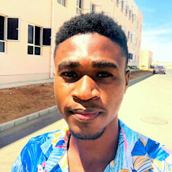 flvianskylewis