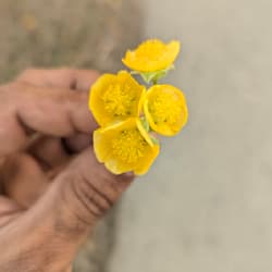 mdyousuf_07