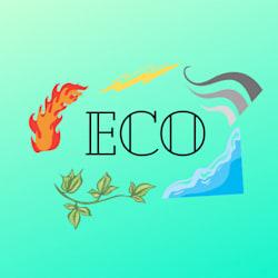 eco____