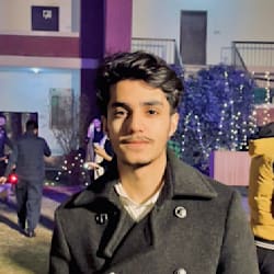 roman_ali_dev