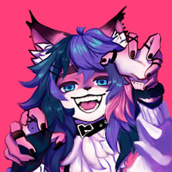 pauwdah