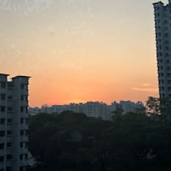 hxiinn