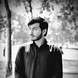 hamzaalizafa634