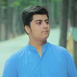 zaidwpbuilder