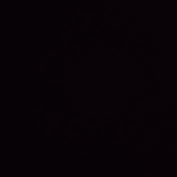 fatimazahid234