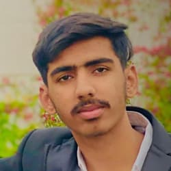 hussam_ansari