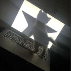 aacopypro