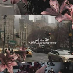 saadiaali403