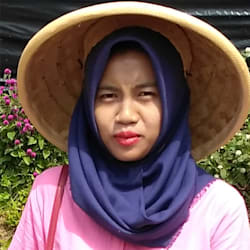 sulis_art