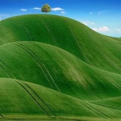 sammshopifyexp