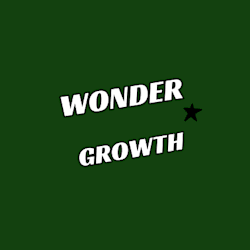 ecom_wonder1