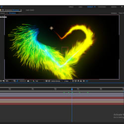 motion_graphic8