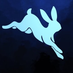 luminleveret