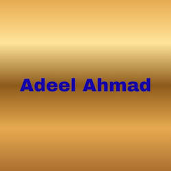 adeelahmad19302