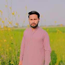 shopify_xpert__