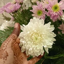 lesson_urdu