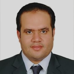 elsayed_m2014