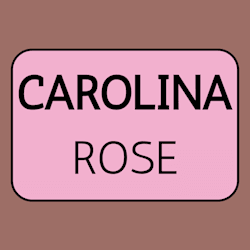 carolina_rose_