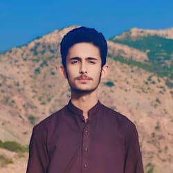 najam_aly