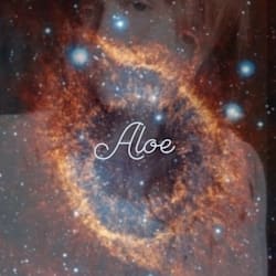 mysticaloe