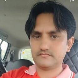 rohanlily