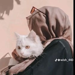 syeda1259