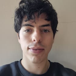 vicente_ferrrei