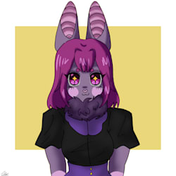 pipuxd