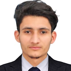 faizanwahid00