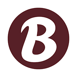 bravix_studio_