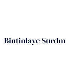 bintinlayesurdm