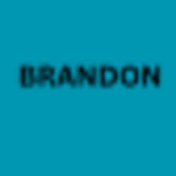 brandon82738