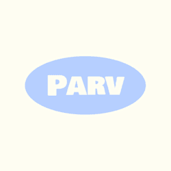 pauveli