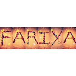 fariabhuiyan