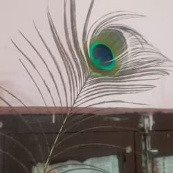 raja_bairya_