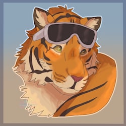 yk_itstiger