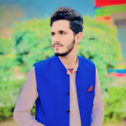 haseeb_top_va