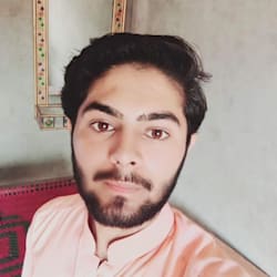 ameerhamza2020